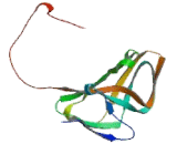 Deoxyuridine Triphosphatase (DUT)