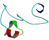 Desmoglein 3 (DSG3)