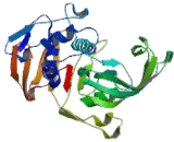 Deubiquitinating Enzyme 3 (DUB3)