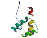 Developing Brain Homeobox Protein 2 (DBX2)