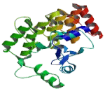 Development And Differentiation Enhancing Factor 2 (DDEF2)