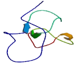 Dexamethasone Induced Protein (DEXI)