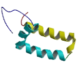 DiGeorge Syndrome Critical Region Gene 14 (DGCR14)