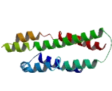 DiGeorge Syndrome Critical Region Gene 6 (DGCR6)