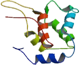 Diacylglycerol Kinase Alpha (DGKa)