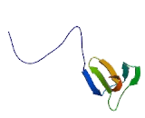 Diacylglycerol Kinase Eta (DGKh)