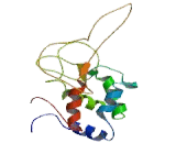 Diacylglycerol Kinase Gamma (DGKg)