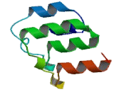 Diacylglycerol Kinase Iota (DGKi)