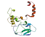 Diacylglycerol Kinase Kappa (DGKk)