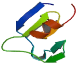 Diacylglycerol Kinase Theta (DGKq)