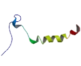 Diacylglycerol-O-Acyltransferase 2 Like Protein 6 (DGAT2L6)