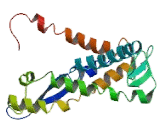 Diacylglycerol-O-Acyltransferase Homolog 2 (DGAT2)