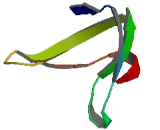 Diaphanous Protein Interacting Protein (DIP1)