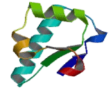 Diastrophic Dysplasia Sulfate Transporter (DTDST)