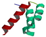 Diencephalon/Mesencephalon Homeobox Protein 1 (DMBX1)