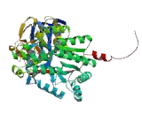 Dihydropyrimidinase (DPYS)