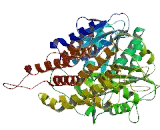 Dihydroxyacetone Kinase 2 (DAK)