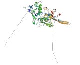 Diphosphoinositol Pentakisphosphate Kinase 1 (PPIP5K1)