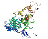 Diphosphoinositol Pentakisphosphate Kinase 2 (PPIP5K2)