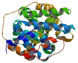 Disabled Homolog 2 Interacting Protein (DAB2IP)