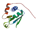 Disco Interacting Protein 2 Homolog B (DIP2B)