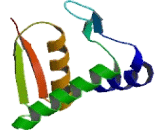 Disco Interacting Protein 2 Homolog C (DIP2C)