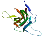 Discoidin, CUB And LCCL Domain Containing Protein 2 (DCBLD2)