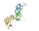 Discs, Large Homolog Associated Protein 2 (DLGAP2)