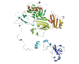 Discs, Large Homolog Associated Protein 3 (DLGAP3)