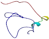 Discs, Large Homolog Associated Protein 4 (DLGAP4)