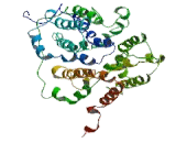 Disrupted In Renal Carcinoma 2 (DIRC2)