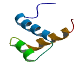 Distal Less Homeobox Protein 4 (DLX4)