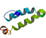 DnaJ/HSP40 Homolog Subfamily A, Member 2 (DNAJA2)