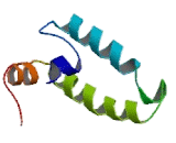 DnaJ/HSP40 Homolog Subfamily B, Member 12 (DNAJB12)