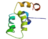 DnaJ/HSP40 Homolog Subfamily B, Member 4 (DNAJB4)