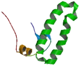 DnaJ/HSP40 Homolog Subfamily B, Member 6 (DNAJB6)