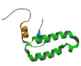 DnaJ/HSP40 Homolog Subfamily B, Member 8 (DNAJB8)