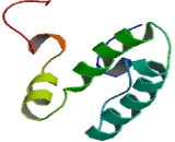 DnaJ/HSP40 Homolog Subfamily B, Member 9 (DNAJB9)