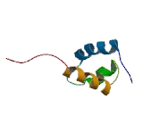 DnaJ/HSP40 Homolog Subfamily C, Member 1 (DNAJC1)