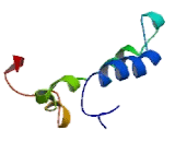 DnaJ/HSP40 Homolog Subfamily C, Member 10 (DNAJC10)