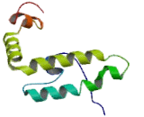 DnaJ/HSP40 Homolog Subfamily C, Member 12 (DNAJC12)