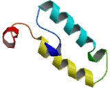 DnaJ/HSP40 Homolog Subfamily C, Member 14 (DNAJC14)