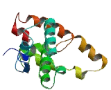 DnaJ/HSP40 Homolog Subfamily C, Member 18 (DNAJC18)