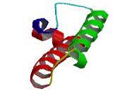 DnaJ/HSP40 Homolog Subfamily C, Member 21 (DNAJC21)