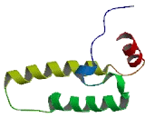 DnaJ/HSP40 Homolog Subfamily C, Member 24 (DNAJC24)