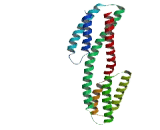 DnaJ/HSP40 Homolog Subfamily C, Member 25 (DNAJC25)