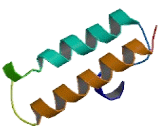 DnaJ/HSP40 Homolog Subfamily C, Member 27 (DNAJC27)