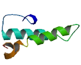 DnaJ/HSP40 Homolog Subfamily C, Member 28 (DNAJC28)