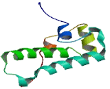 DnaJ/HSP40 Homolog Subfamily C, Member 30 (DNAJC30)