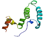 DnaJ/HSP40 Homolog Subfamily C, Member 5 (DNAJC5)